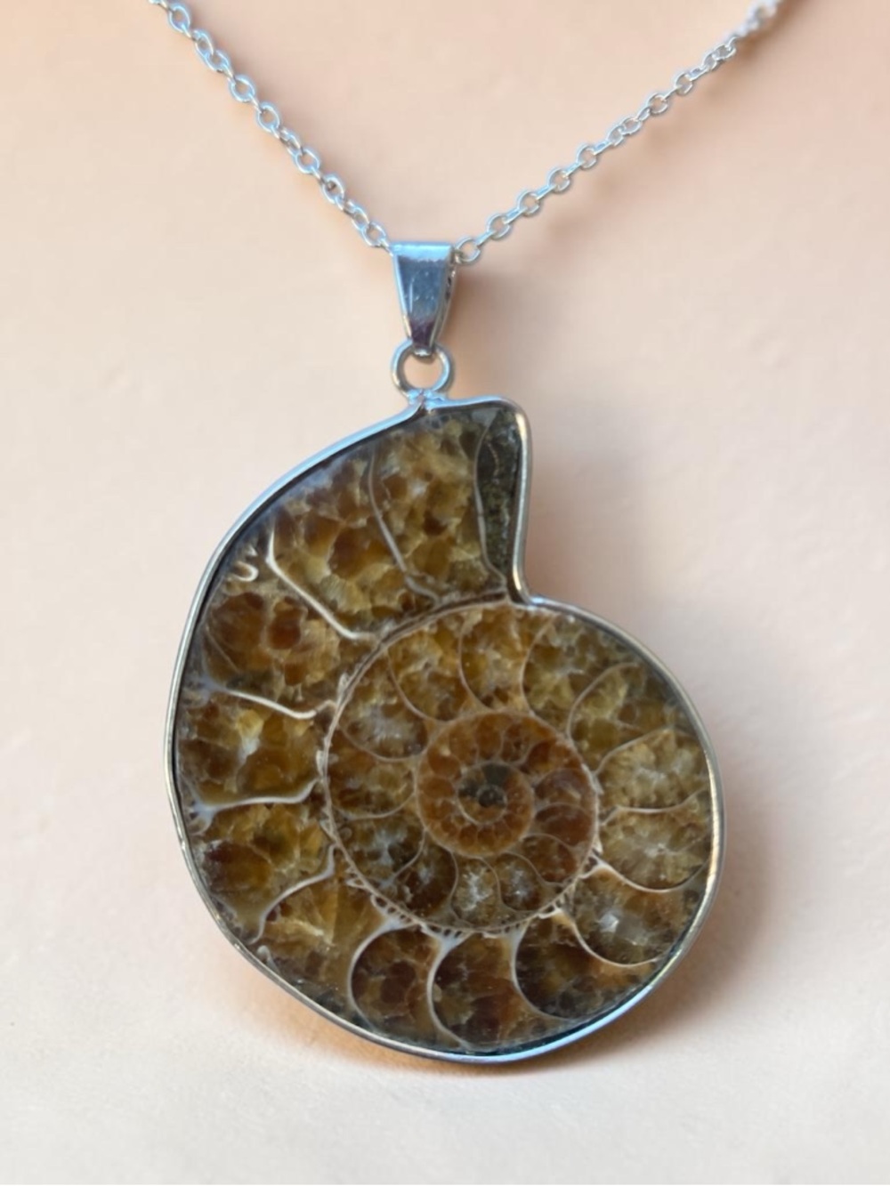 Sterling Silver Ammonite Fossil Pendant Necklace in Brown